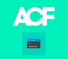 Advanced Custom Fields Flexible Content Field