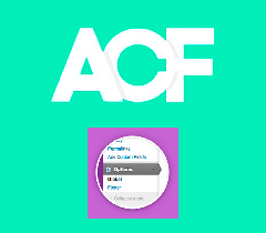 Advanced Custom Fields Options Page