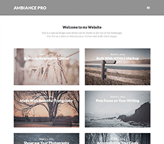 Ambiance Pro