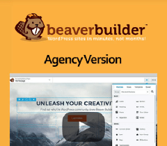 Beaver Builder Agency Version