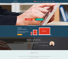 Biznex