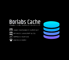 Borlabs Cache