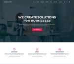 Business Pro