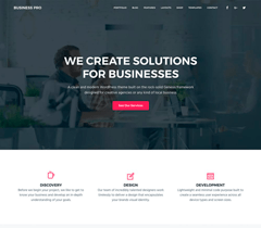 Business Pro