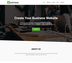 Business Pro 4