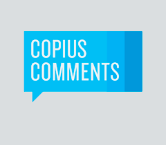 iThemes DisplayBuddy Copious Comments