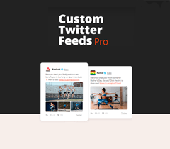 Custom Twitter Feeds Pro