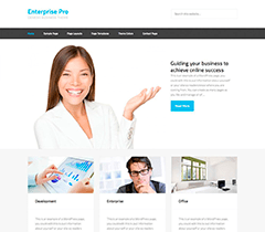 Enterprise Pro