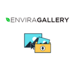 Envira Gallery Downloads
