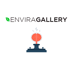 Envira Gallery Dynamic