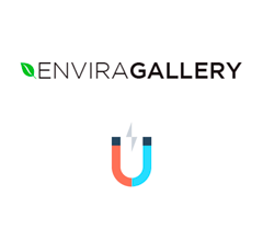 Envira Gallery NextGEN Importer