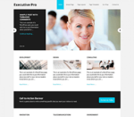 Executive Pro