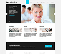 Executive Pro