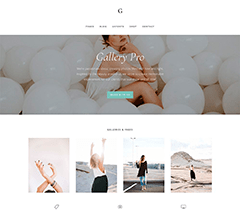 Gallery Pro