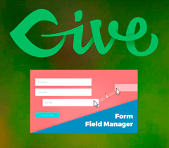 Give Form Field Manager