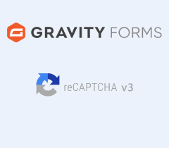 Gravity Forms reCAPTCHA
