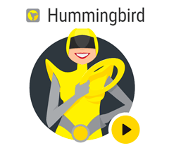 WPMU DEV WP Hummingbird