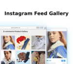Instagram Feed Gallery