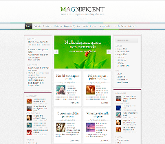 Magnificent