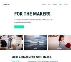 Maker Pro