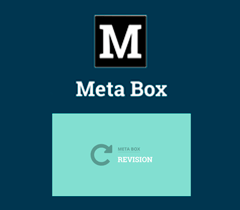 MB Revision