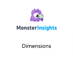 MonsterInsights Dimensions