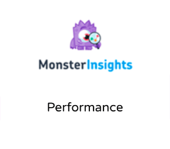 MonsterInsights Performance
