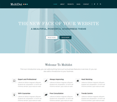 Multidot