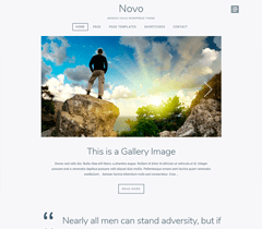 Novo