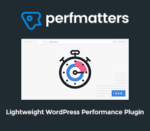 Perfmatters – Lightweight WordPress Performance Plugin
