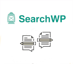 SearchWP Term Synonyms
