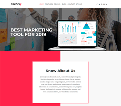 Techivy