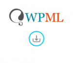 WPML All Import