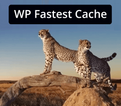 WP Fastest Cache