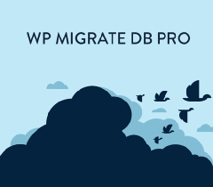 WP Migrate DB Pro