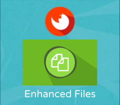 WP Customer Area Enhanced Files