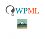 WPML Contact Form