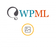 WPML Media