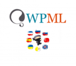 WPML WooCommerce Gateways Country Limiter